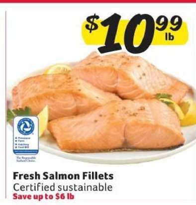 Fresh Salmon Fillets