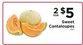 Sweet Cantaloupes