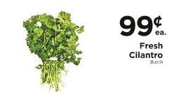 Fresh Cilantro