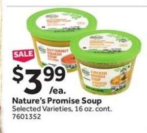 Nature's Promise Soup