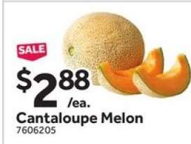 Cantaloupe Melon
