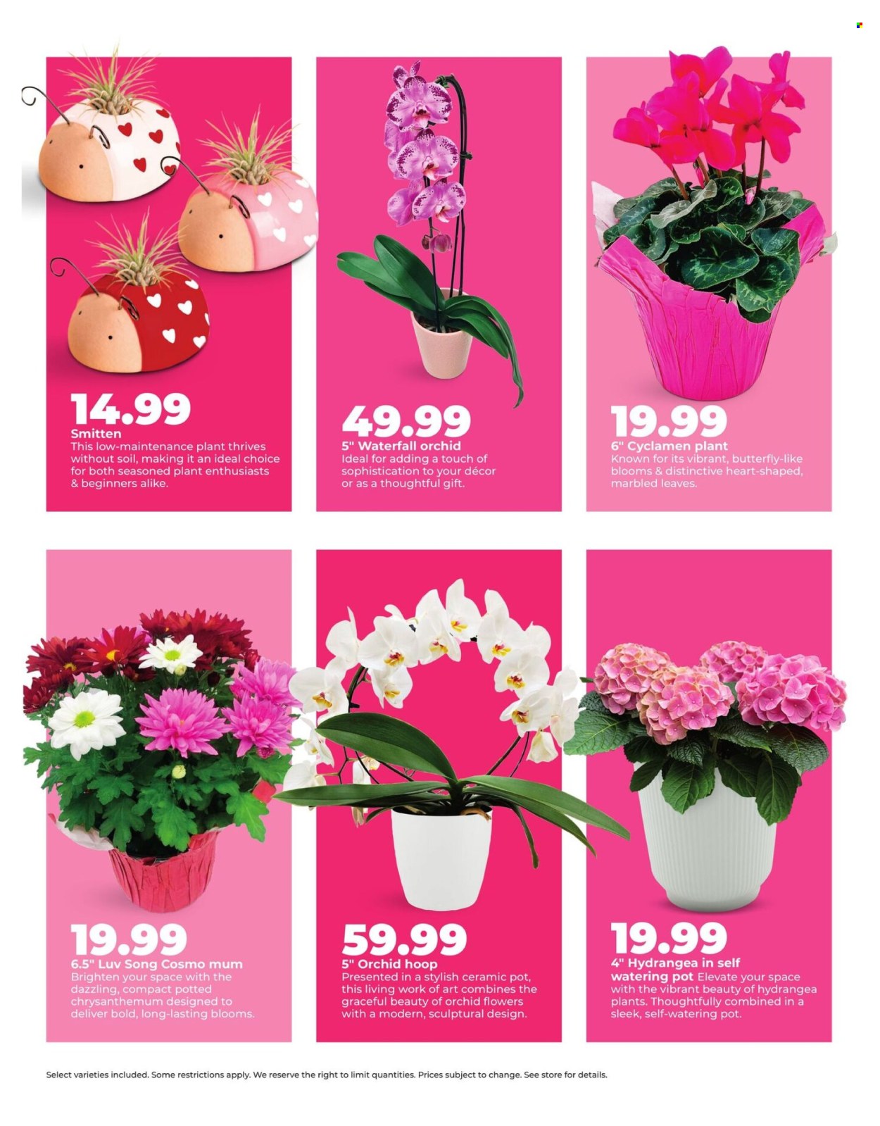 Hy-Vee ad - 02/02/2026 - 02/15/2026. Page 6