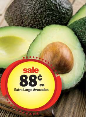 Extra Large Avocados