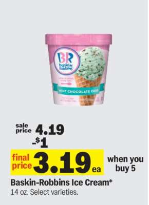 Baskin Robbins Ice Cream