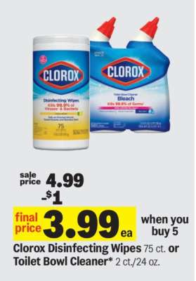 Clorox Disinfecting Wipes or Toilet Bowl Cleaner