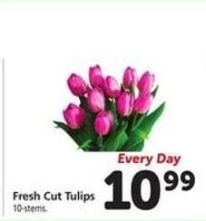 Fresh Cut Tulips