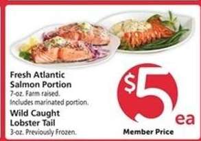 Fresh Atlantic Salmon Portion