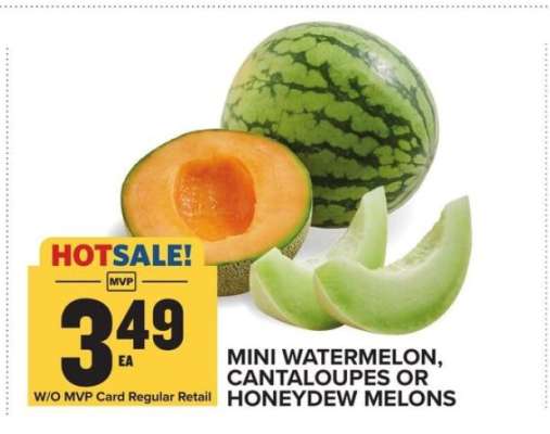 Mini Watermelon, Cantaloupes or Honeydew Melons