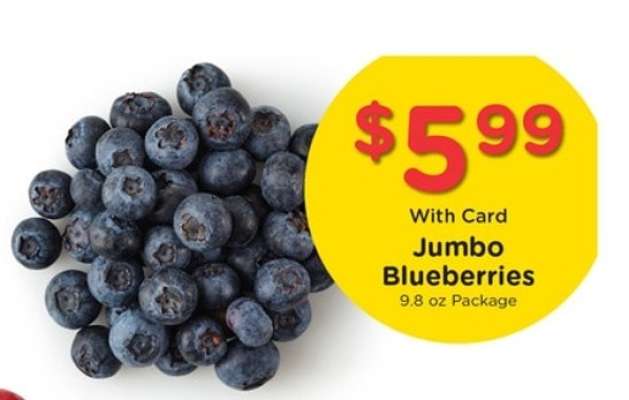 Jumbo Blueberries