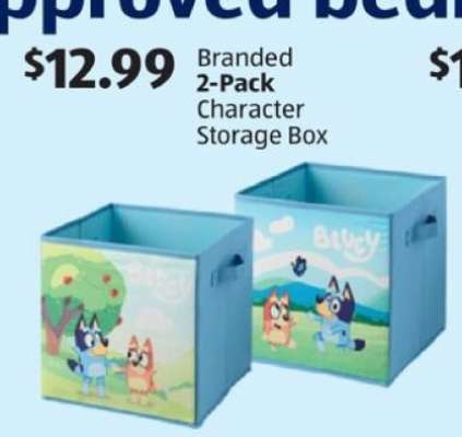Branded 2-Pack Character Storage Box