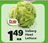 Iceberg Head Lettuce