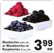 Blueberries or Blackberries or Raspberries