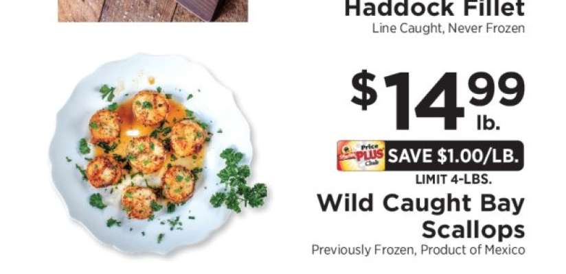 Wild Caught Bay Scallops