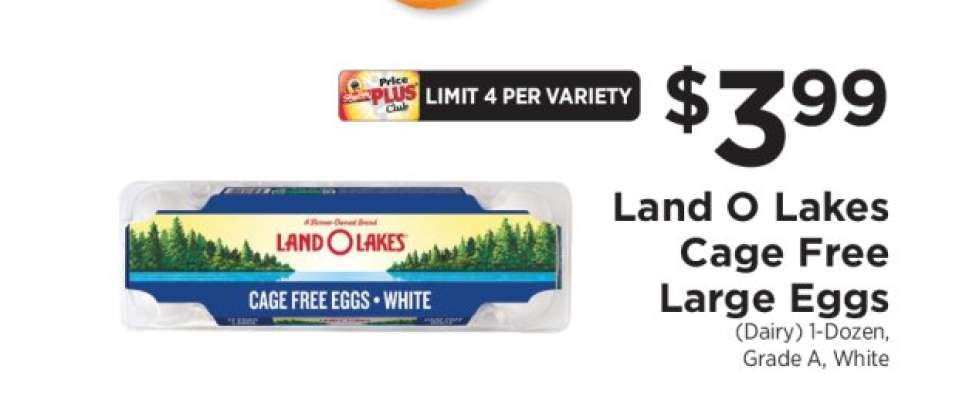 Land O Lakes Cage Free Large Eggs
