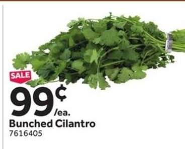 Bunched Cilantro