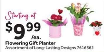 Flowering Gift Planter