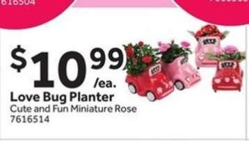 Love Bug Planter