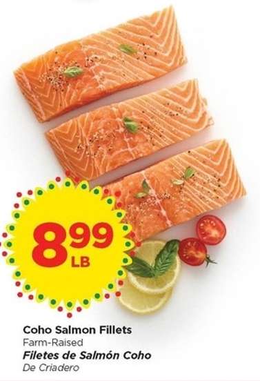 Coho Salmon Fillets