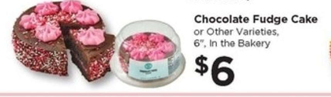 Chocolate Fudge Cake