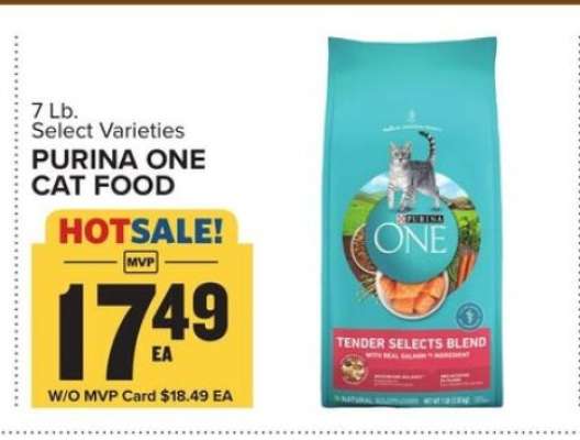 Purina ONE Cat Food