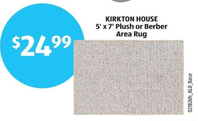 KIRKTON HOUSE 5' x 7' Plush or Berber Area Rug