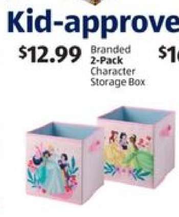 Branded 2-Pack Character Storage Box