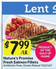 Nature's Promise Fresh Salmon Fillets