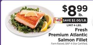 Fresh Premium Atlantic Salmon Fillet