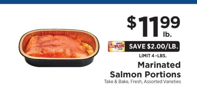 Marinated Salmon Portions