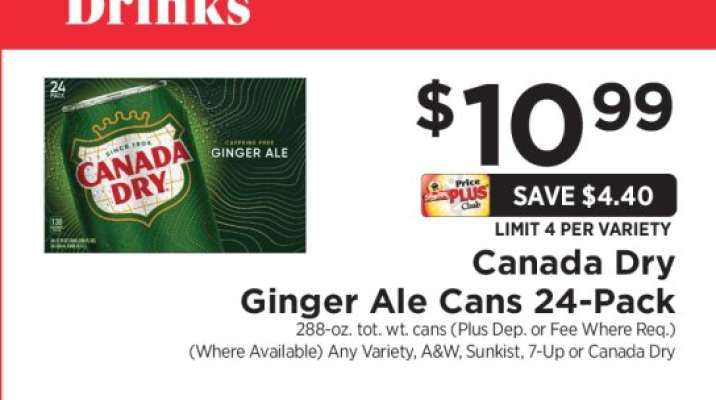 Canada Dry Ginger Ale Cans 24-Pack
