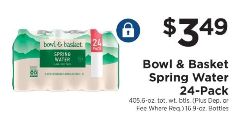 Bowl & Basket Spring Water 24-Pack