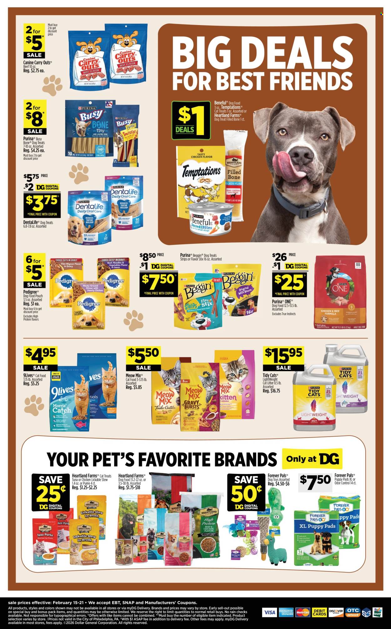 Dollar General ad - 02/15/2026 - 02/21/2026. Page 13