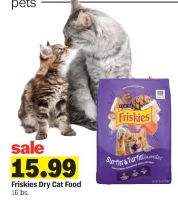 Friskies Dry Cat Food