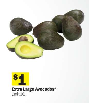 Extra Large Avocados