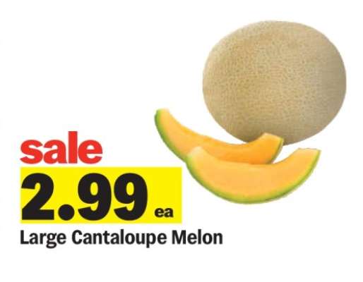 Large Cantaloupe Melon