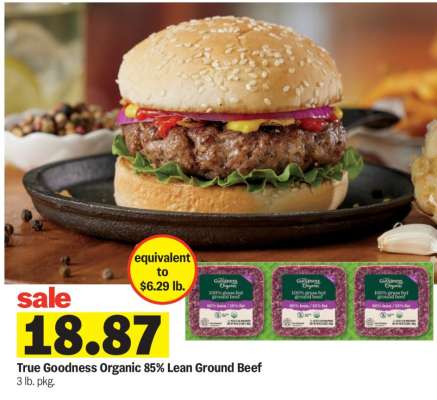 True Goodness Organic 85% Lean Ground Beef