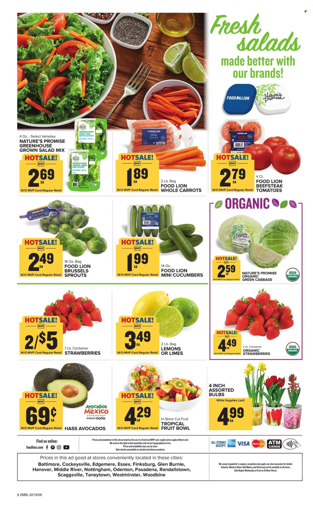 Food Lion ad - 02/18/2026 - 02/24/2026. Page 2