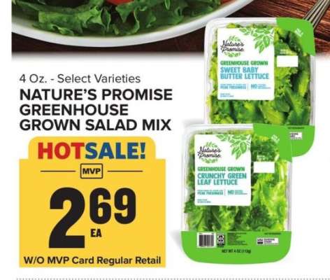 Nature's Promise Greenhouse Grown Salad Mix