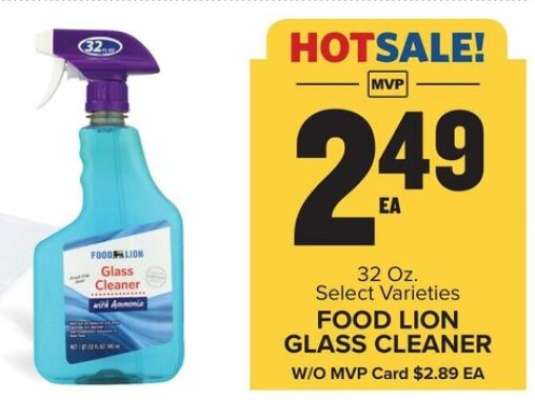 FOOD LION GLASS CLEANER