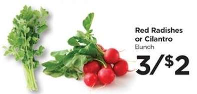 Red Radishes or Cilantro