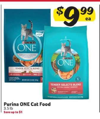 Purina ONE Cat Food