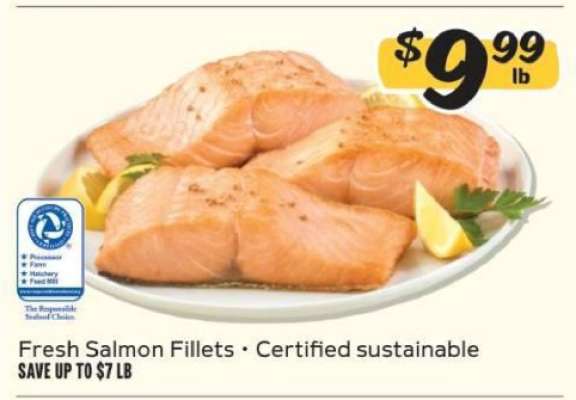 Fresh Salmon Fillets