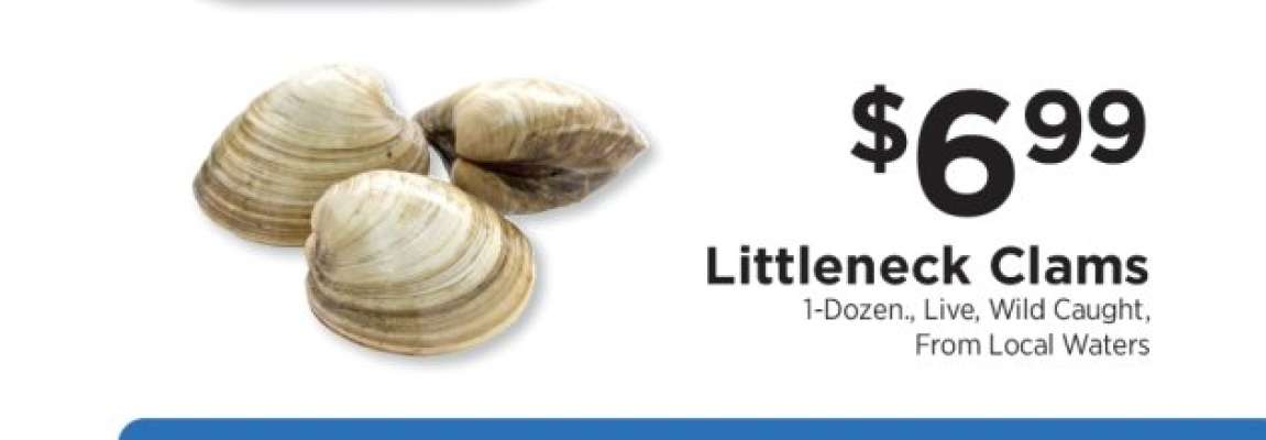 Littleneck Clams