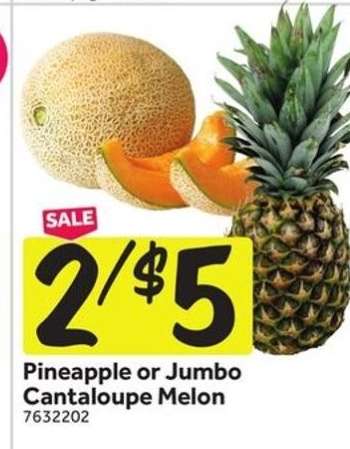 Pineapple or Jumbo Cantaloupe Melon