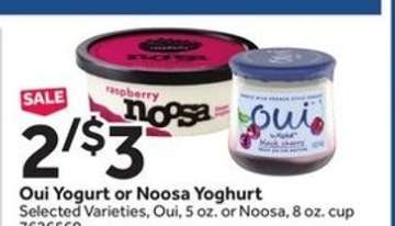 Oui Yogurt or Noosa Yoghurt