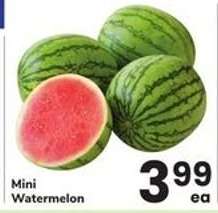 Mini Watermelon