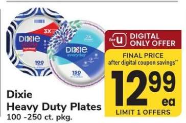 Dixie Heavy Duty Plates