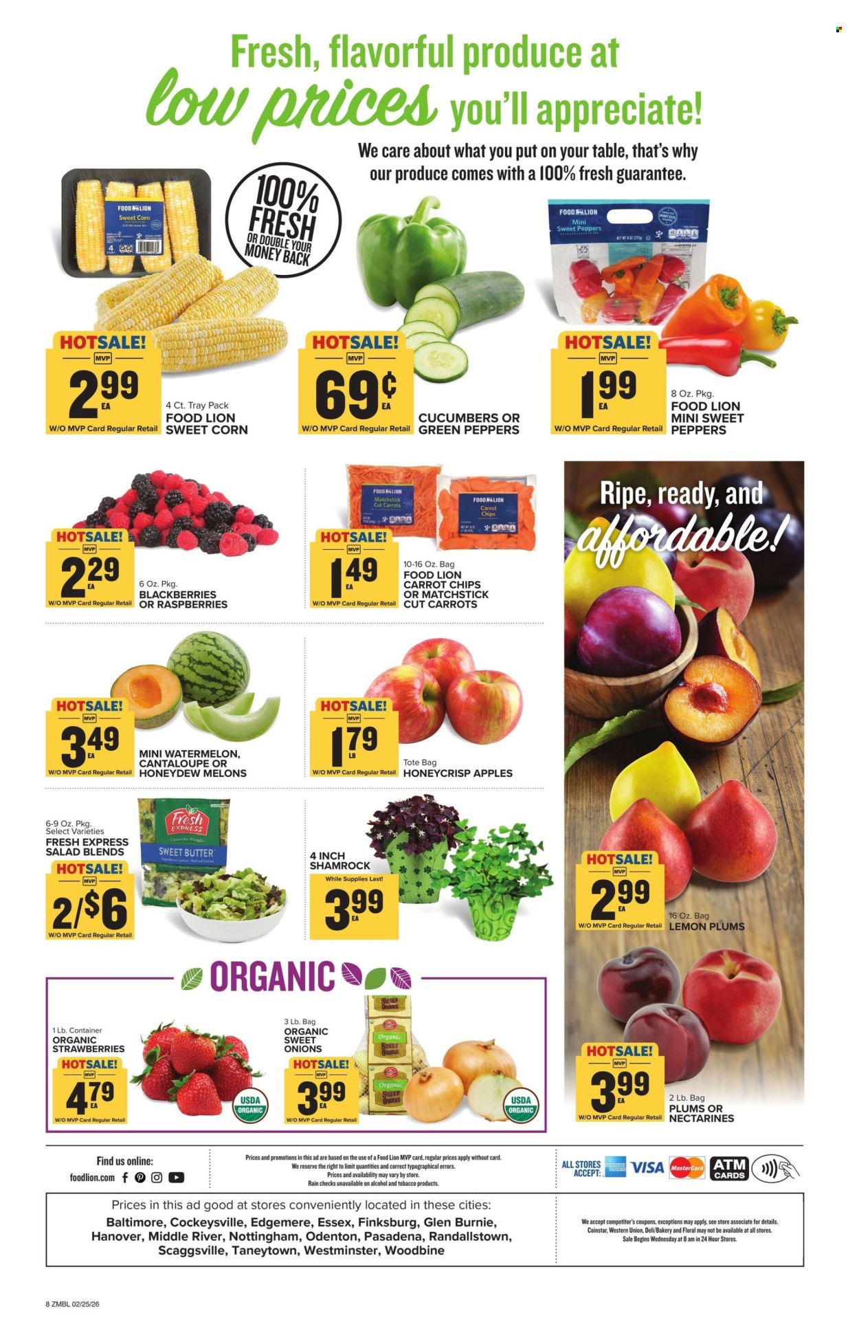 Food Lion ad - 02/25/2026 - 03/03/2026. Page 2