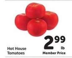 Hot House Tomatoes