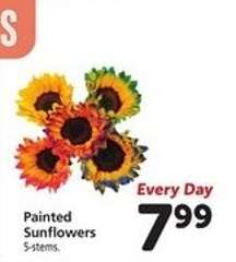 Painted Sunflowers